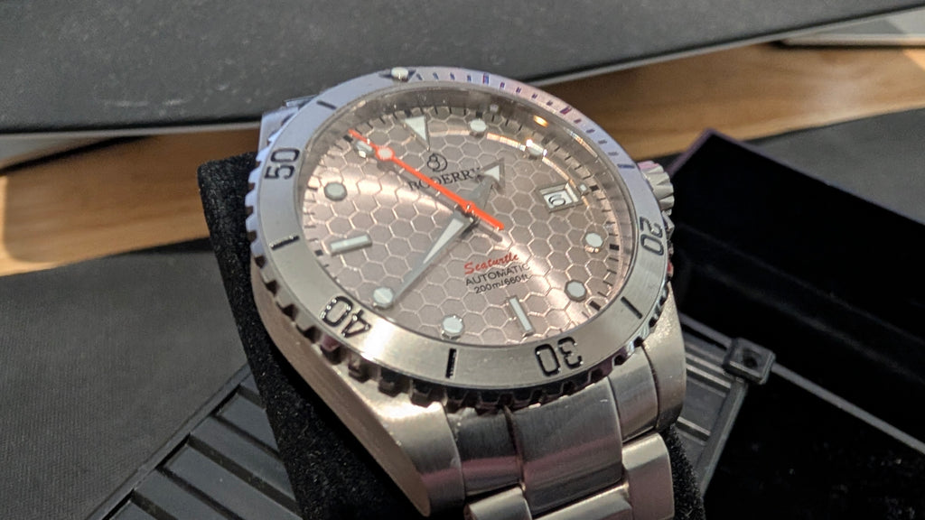 Boderry Sea Turtle Ocean Silver 200m Automatic Full Titanium